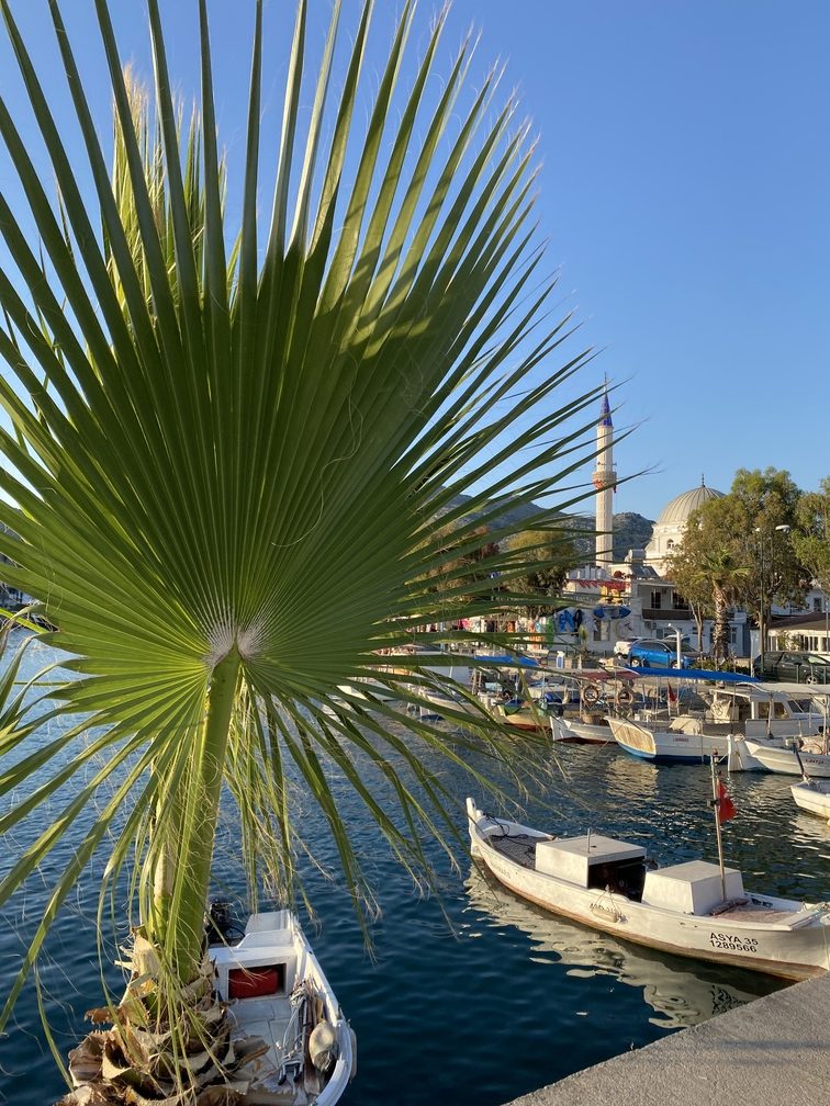 Hafen und Moschee von Bozburun mit Palmenblatt