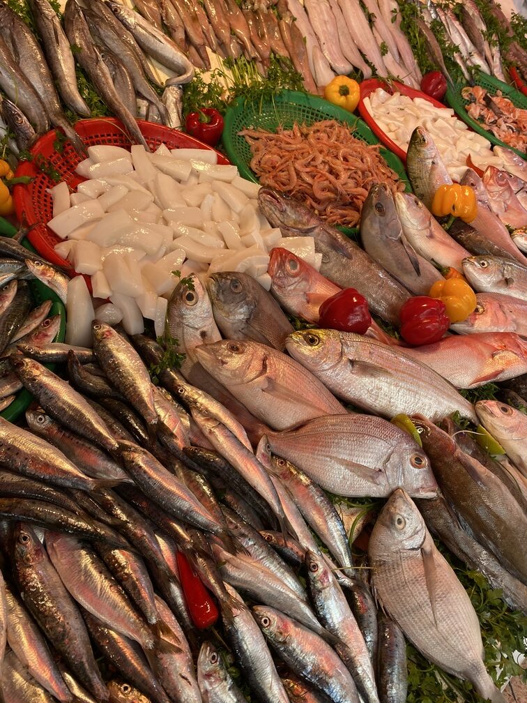 Fische vom Fischmarkt in Essaouira
