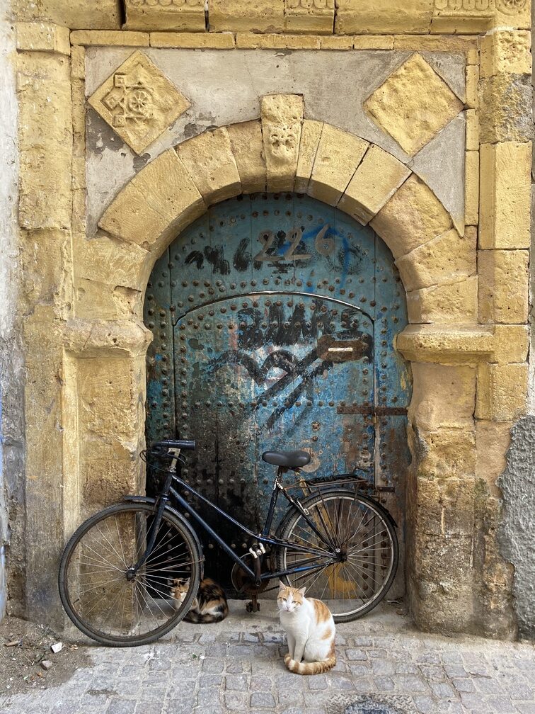 Katze mit Fahrrad vor einer Tür in der Medina von Essaouira