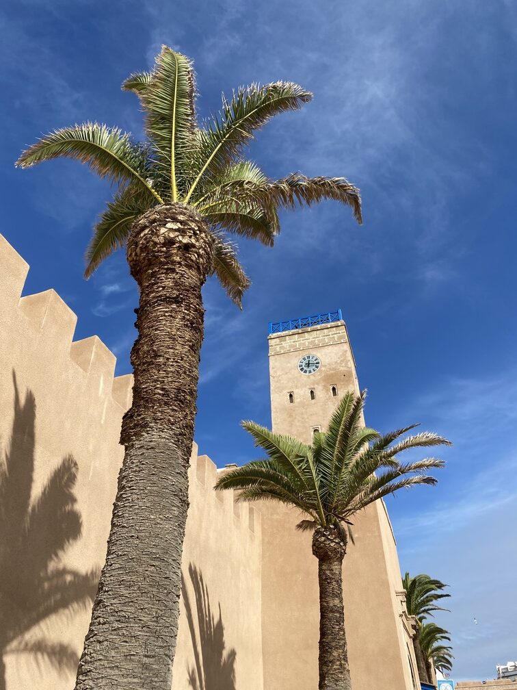 Palmen in der Medina von Essaouira