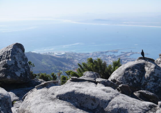 Auf dem Bild siehst du den Ausblick vom Tafelberg in Südafrika