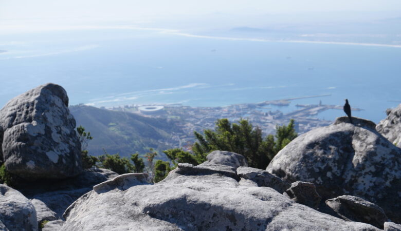 Auf dem Bild siehst du den Ausblick vom Tafelberg in Südafrika