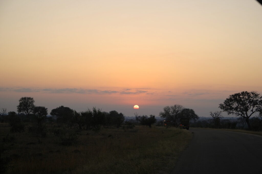Sonnenaufgang und Safari im Kruger Nationalpark