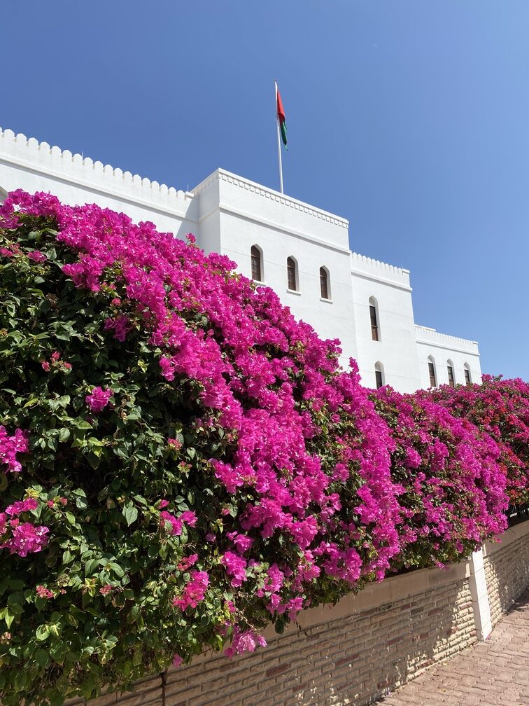 Stadt Muscat mit Blumen