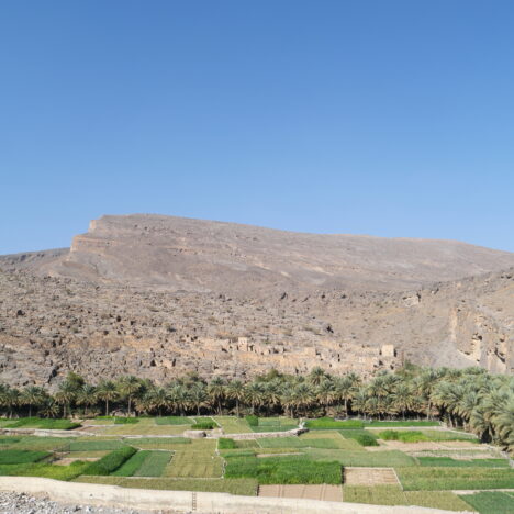 Oman Roadtrip – 3741 Kilometer durch den Wüstenstaat