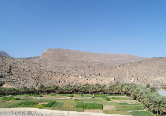Nizwa Wadi Ghul