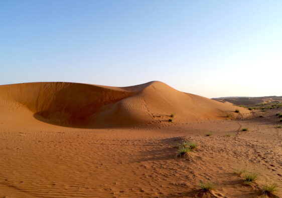 Eine goldene Düne in der Wahiba Wüste