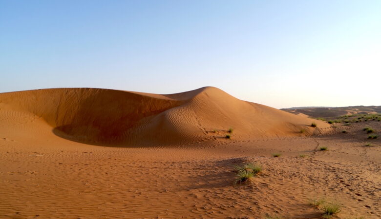 Eine goldene Düne in der Wahiba Wüste