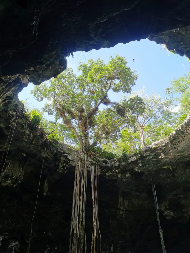 Von Mexiko-Stadt bis Cozumel - Yucatan Cenote