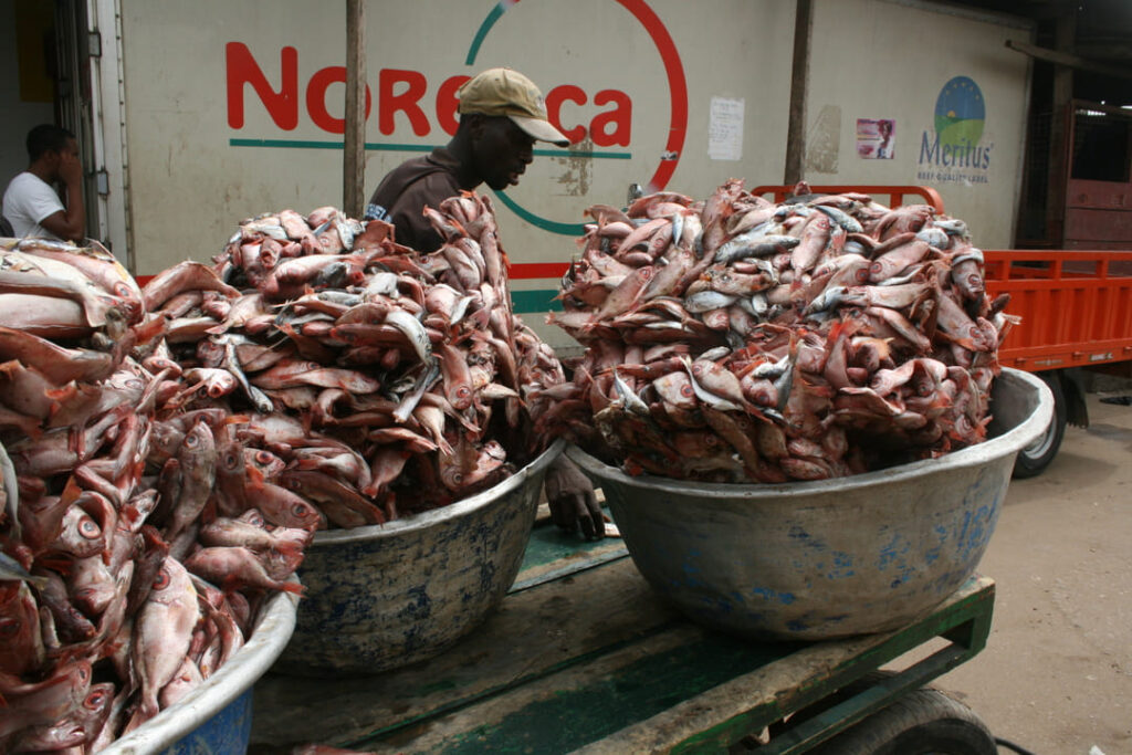 Fischmarkt in Elmina