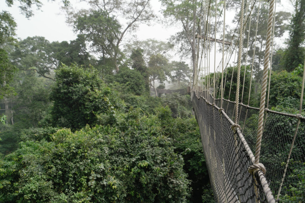 Hängebrücke im Kakum-Nationalpark