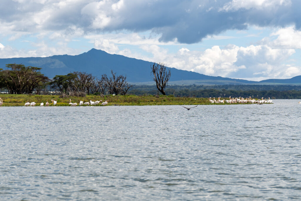 Am Lake Naivasha