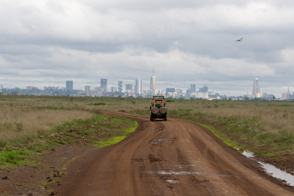 Im Nairobi-Nationalpark mit Skyline
