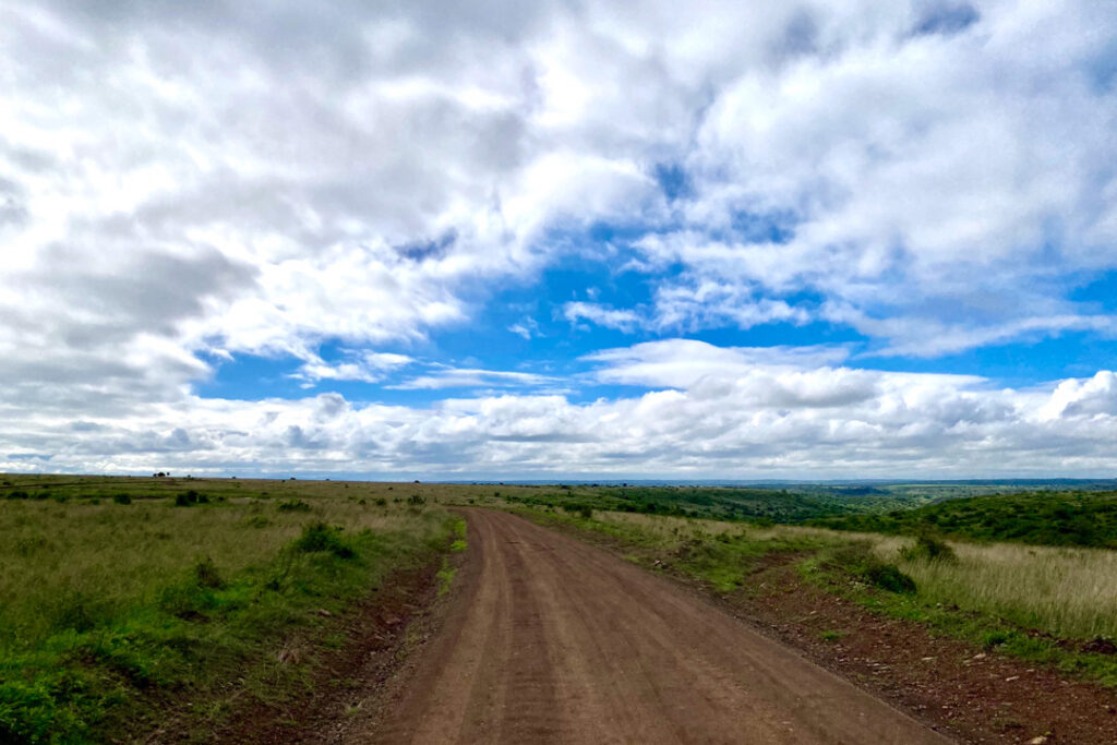 Landschaft im Nairobi-Nationalpark