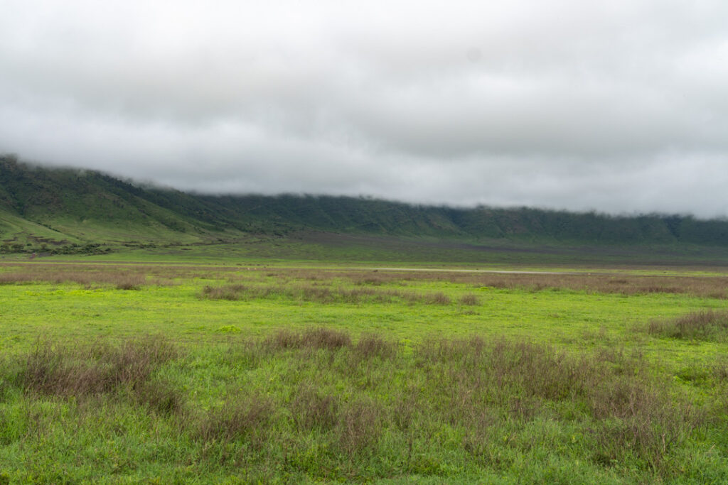 Kraterlandschaft im Ngorongoro-Krater
