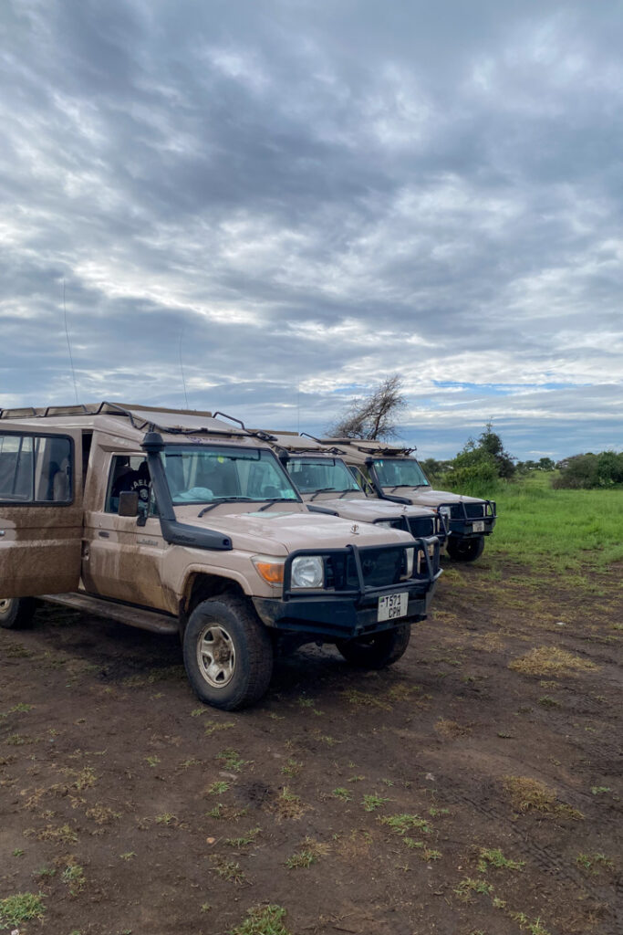 Jeeps auf der Safari