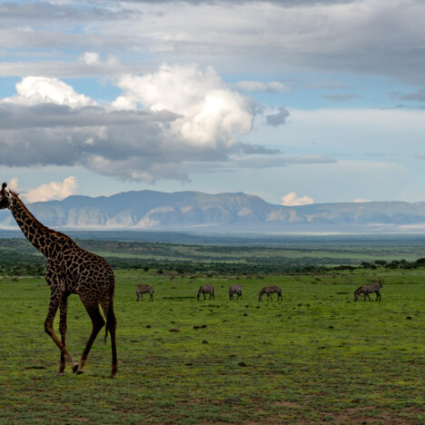 18 Tage Afrika-Abenteuer: Von Nairobi nach Sansibar