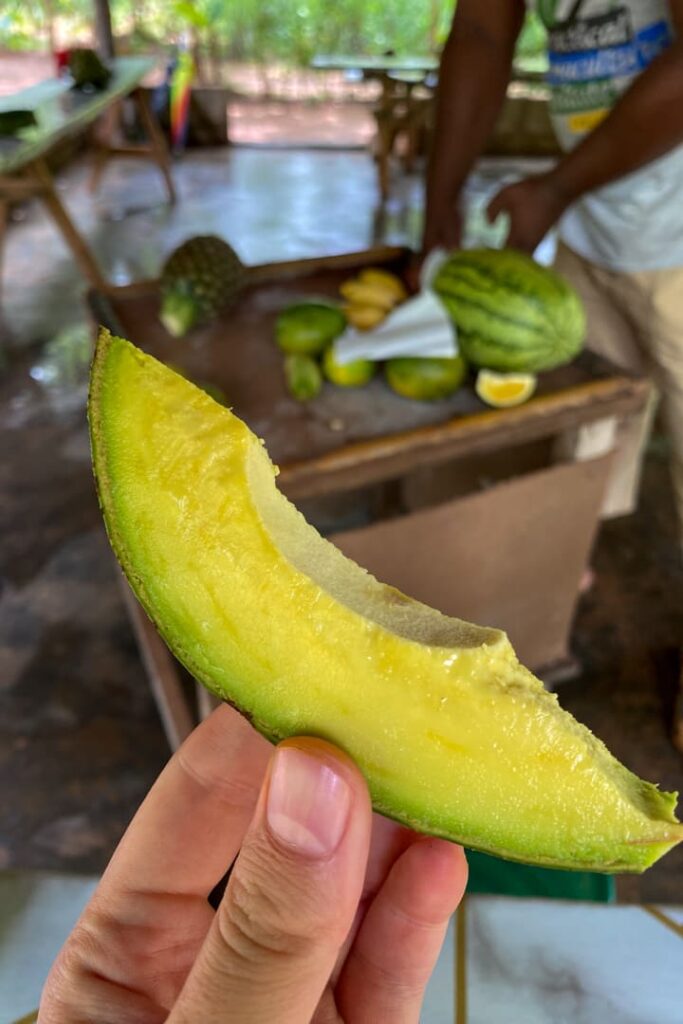 Gewürzfarm-Tour auf Sansibar - Avocado
