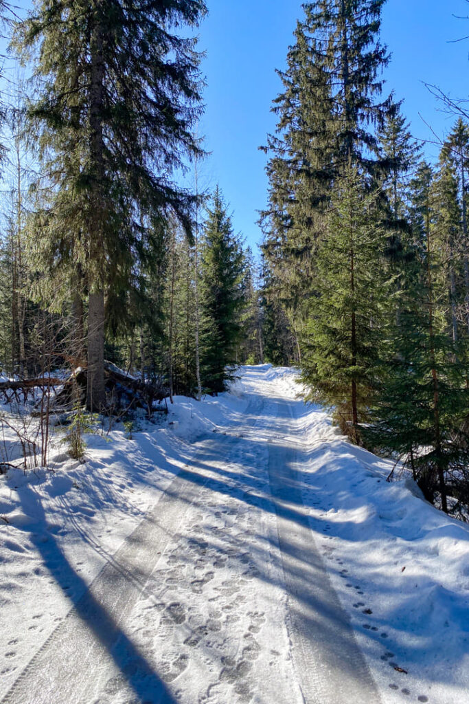 Finnische Landschaft im Winter