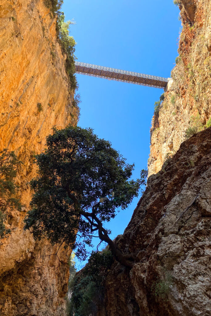 Stahlbrücke mit Baum in der Aradena-Schlucht