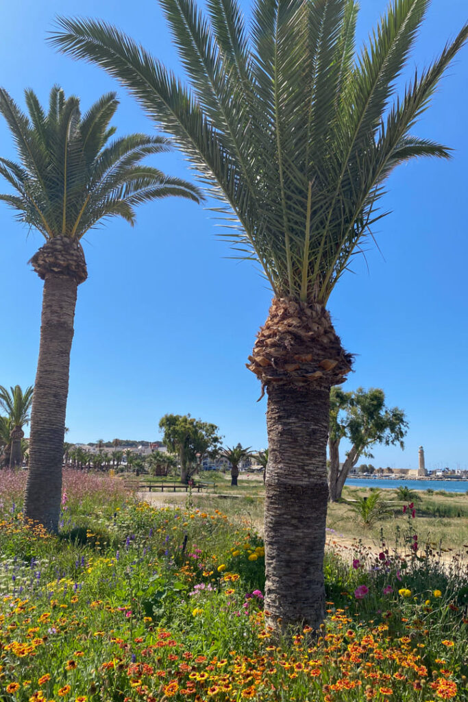 Marina in Rethymno