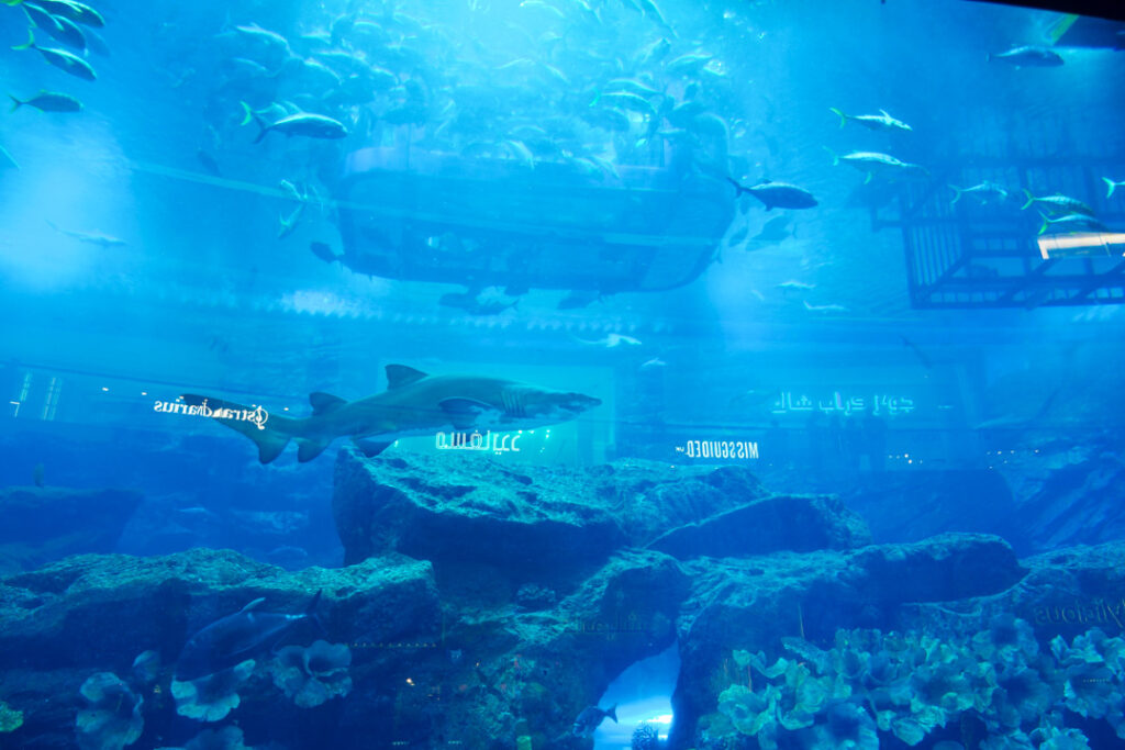 Dubai Aquarium