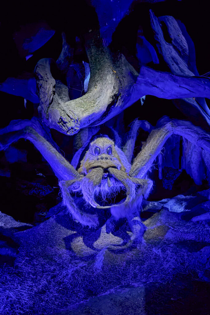 Aragog bei der Harry Potter Studio Tour Tokio