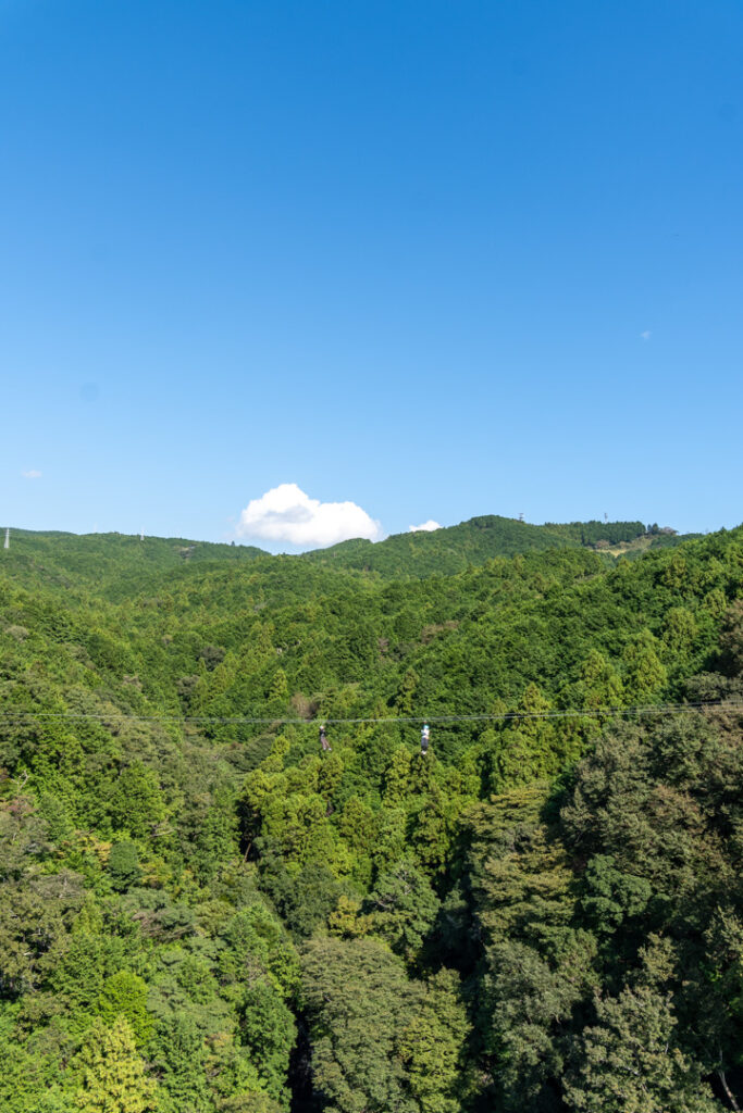 Ziplining beim Mishima Skywalk