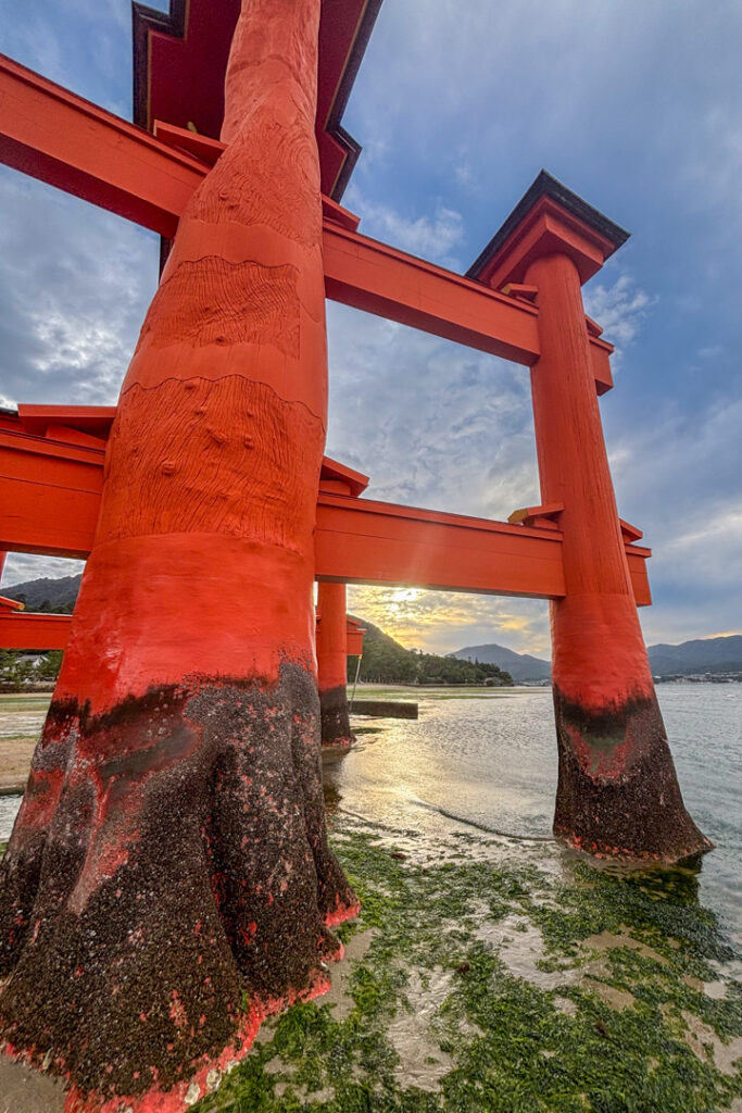 Otorii Gate auf Miyajima bei Ebbe