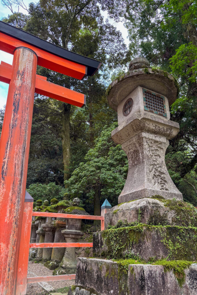 Torii und Laterne im Kasuga-Taisha Schrein