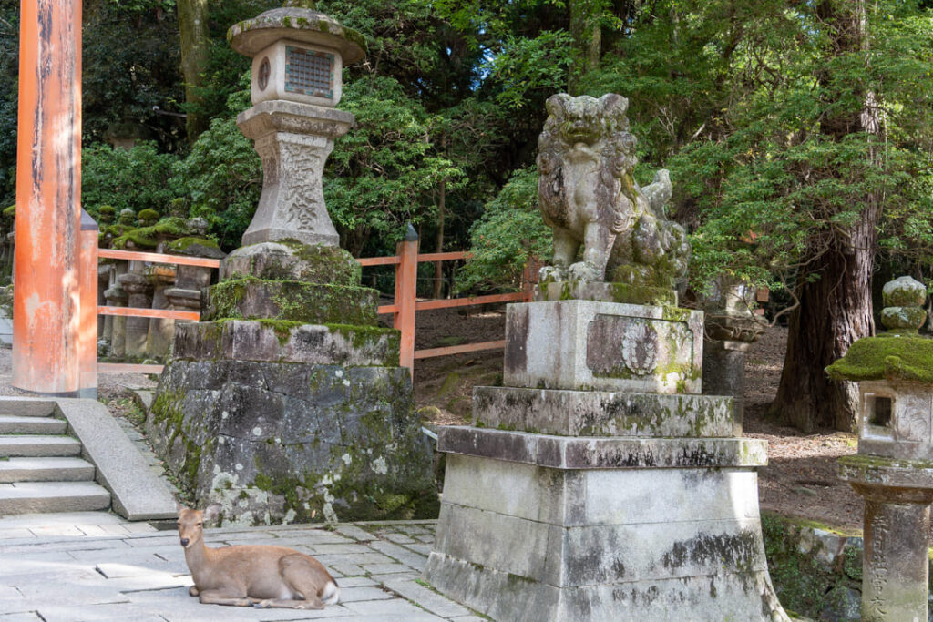 Hirsch vor dem Kasuga-Taisha Schrein in Nara