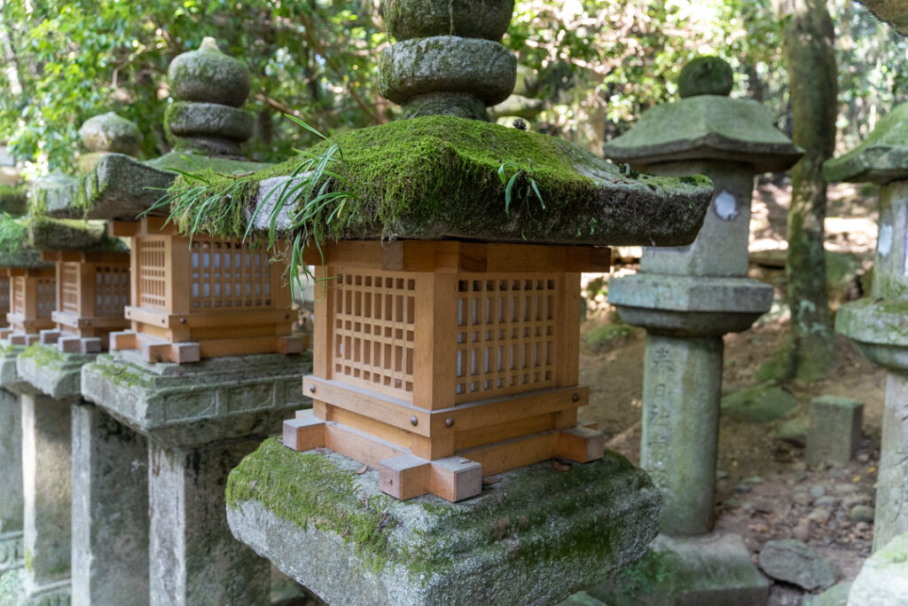 Laternen im Kasuga-Taisha Schrein