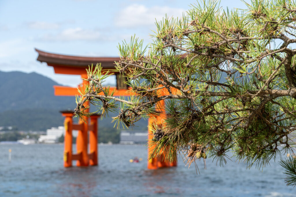 Torii-Tor auf Miyajima