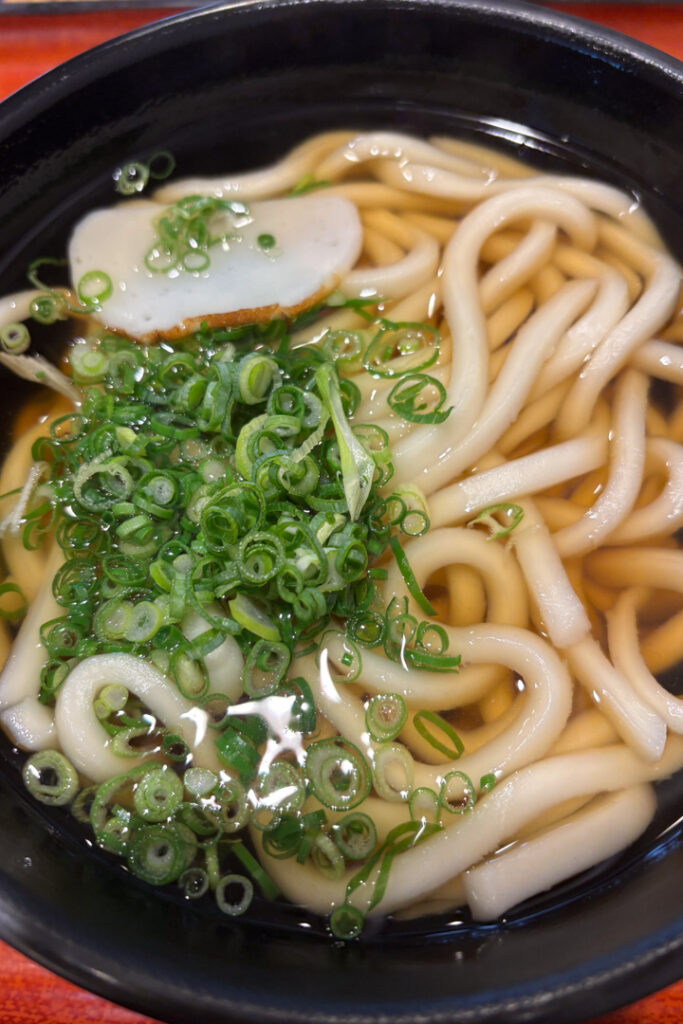 Udon-Nudeln