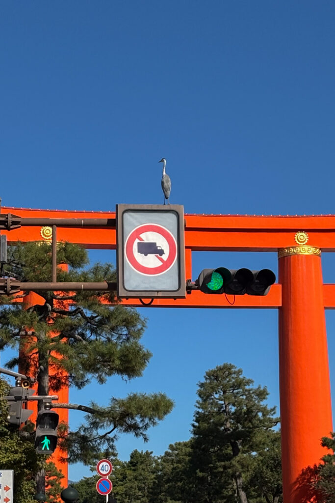 Vogel sitzt auf einem Schild vor dem Heian Torii