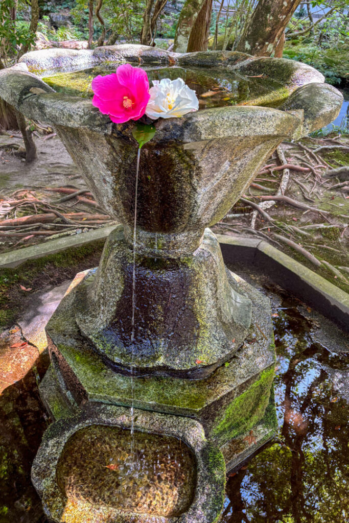 Brunnen im Honen-in-Tempel