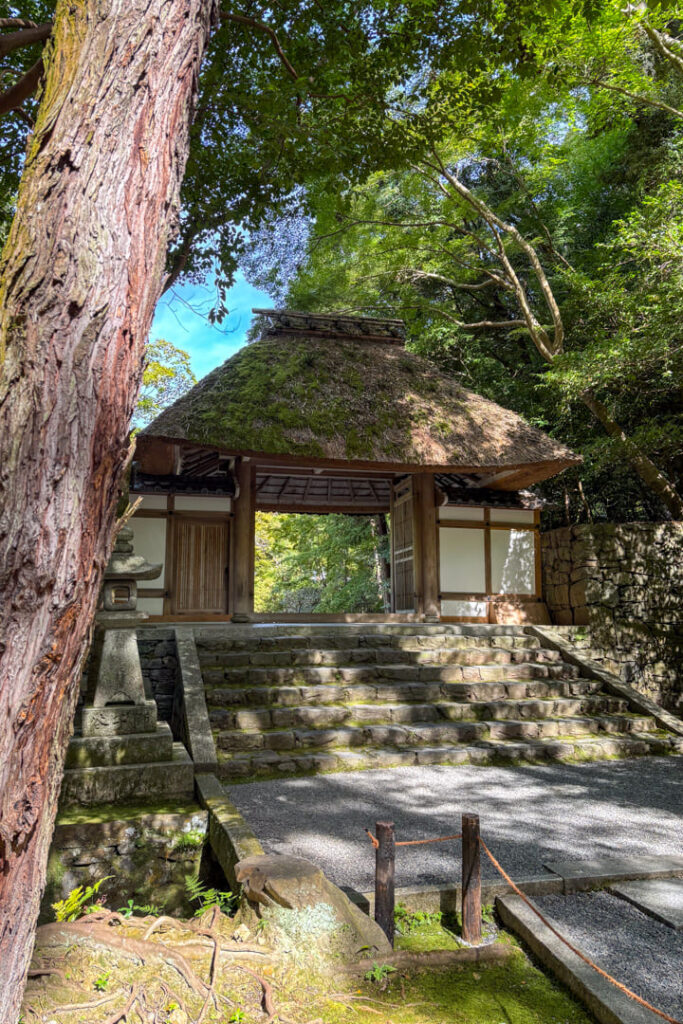 Moosbedecktes Tor im Honen-in-Tempel