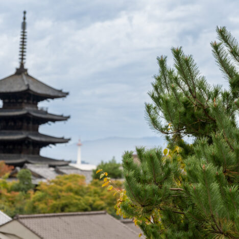 5 Gründe, warum du Hiroshima besuchen solltest (+ Miyajima)