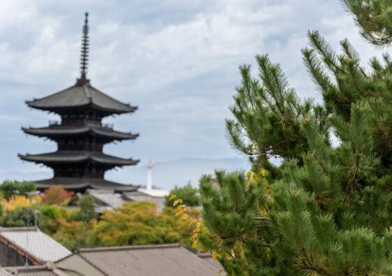 Blick auf Kyoto mit Pagode und Kyoto Tower im Hintergrund