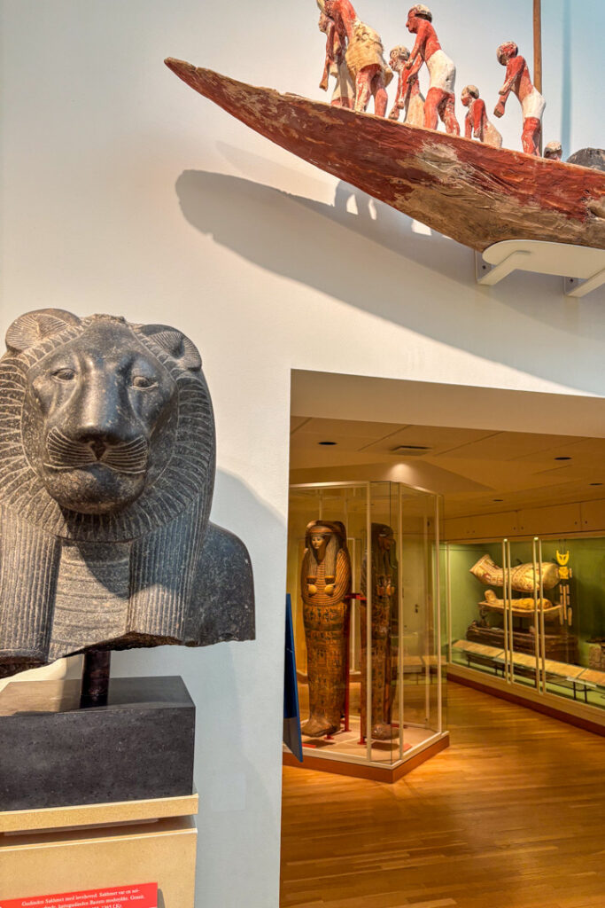 Löwenkopf und Mumie in einem Museum