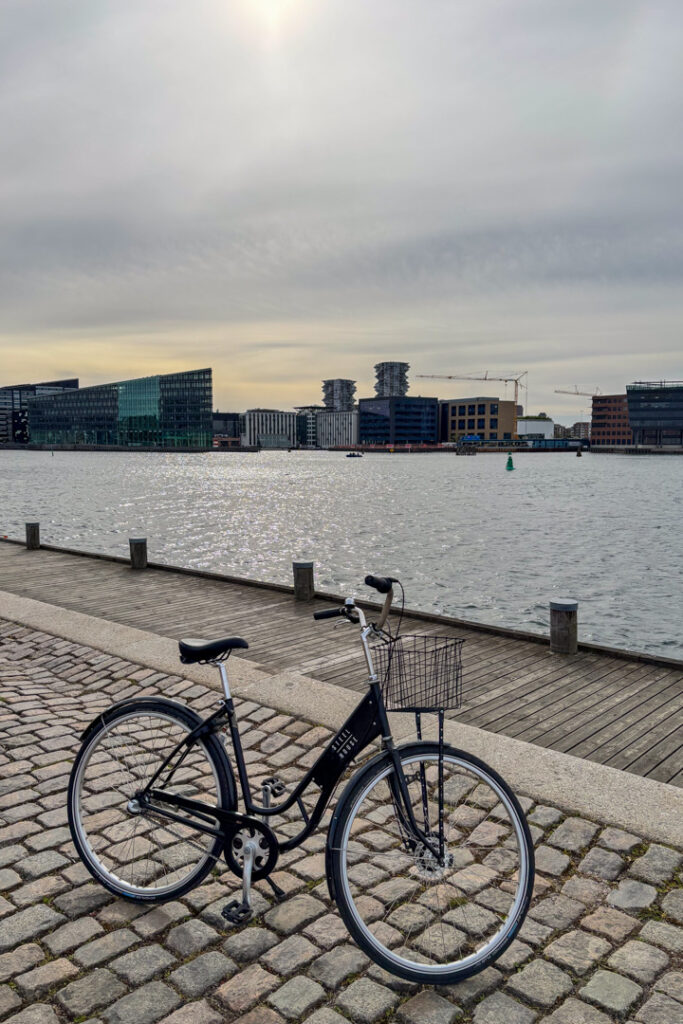 ein Fahrrad, das auf Einem Ziegelweg neben einem Gewässer geparkt ist
