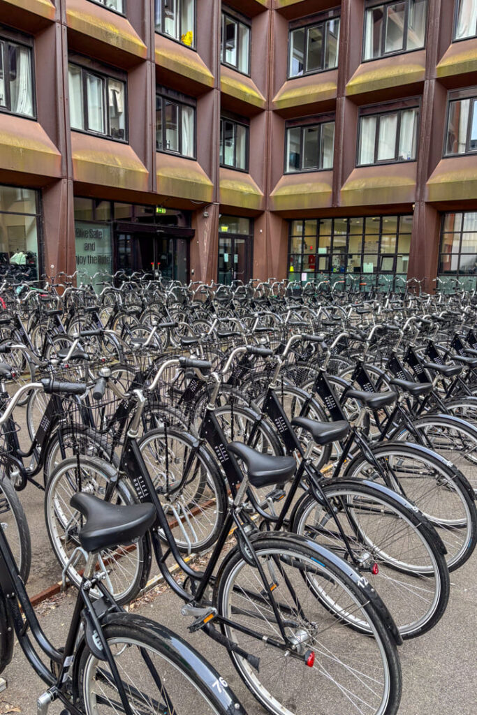 Viele Fahrräder aufgereiht