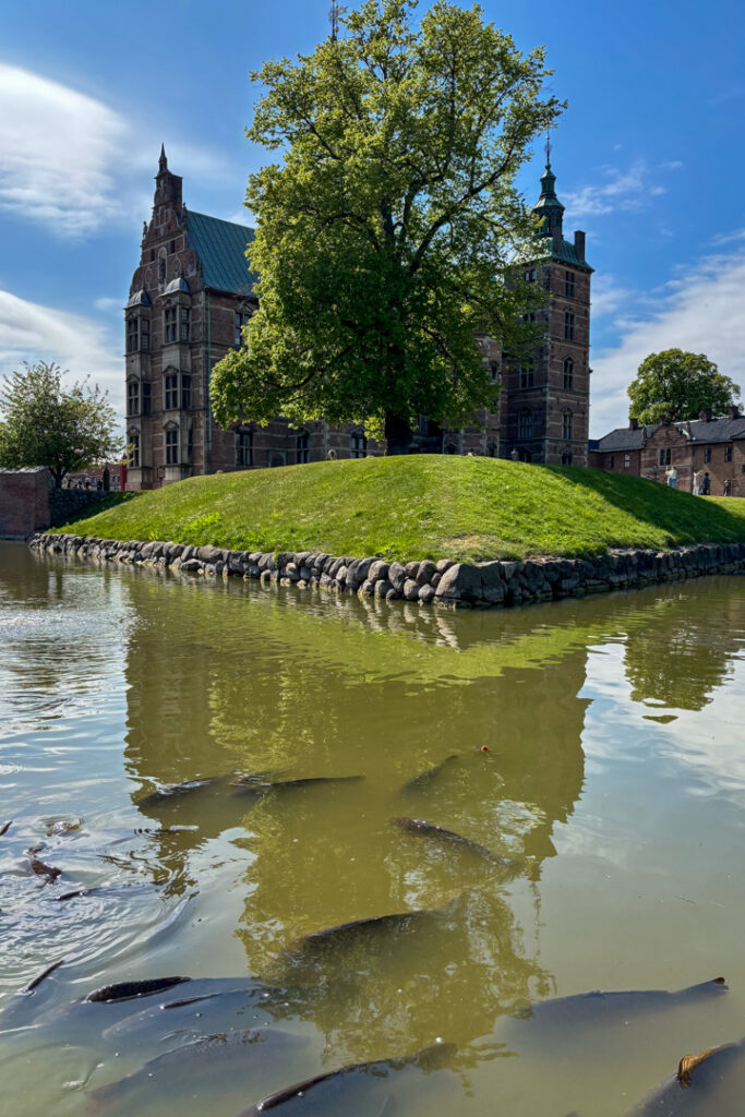 Teich mit Fischen und im Hintergrund ein Gebäude