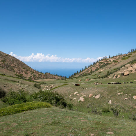 Tash Rabat entdecken: Ausflug von Naryn zur Karawanserei