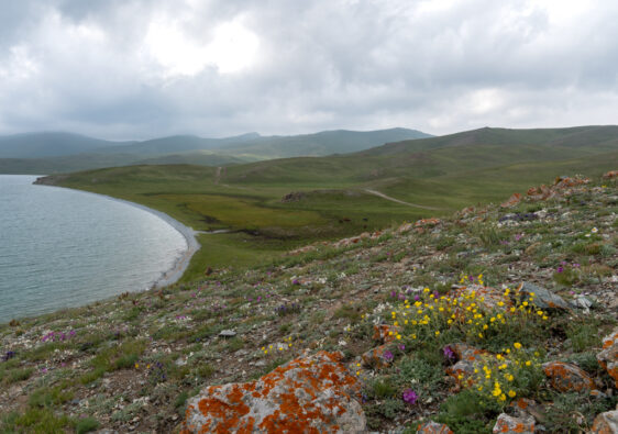 Son-Kul-See