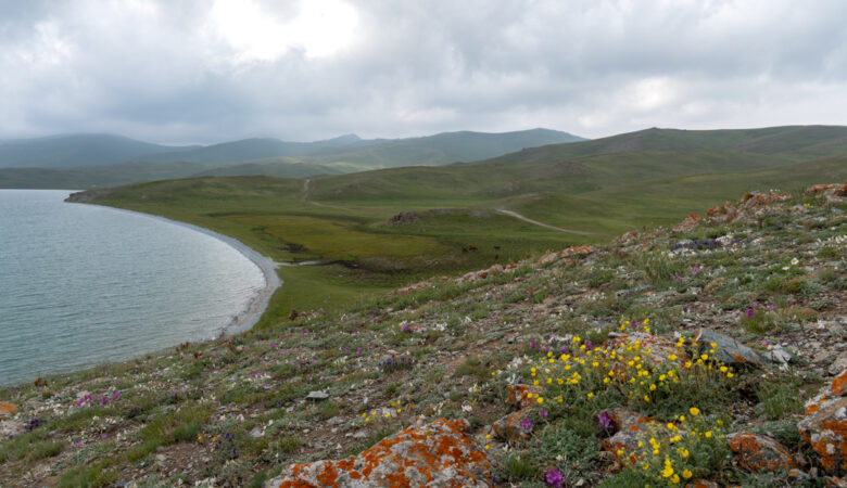Son-Kul-See