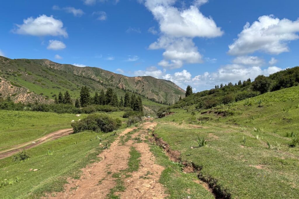 Eine grüne Weide mit einem braunen Weg und Bergen im Hintergrund