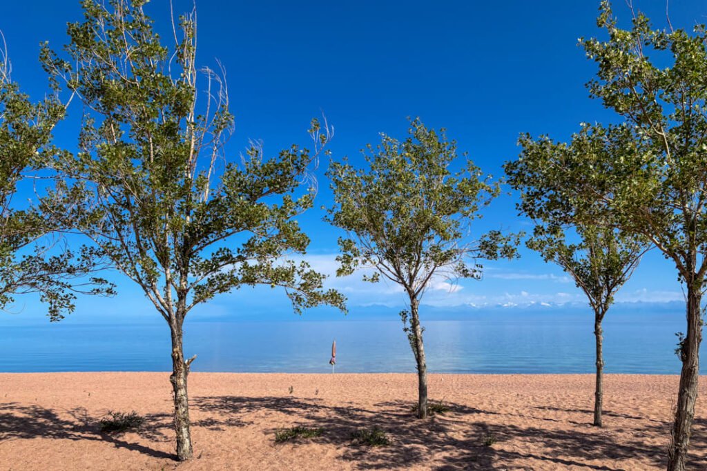 Strand mit grünen Bäumen und dahinter blaues flaches Wasser