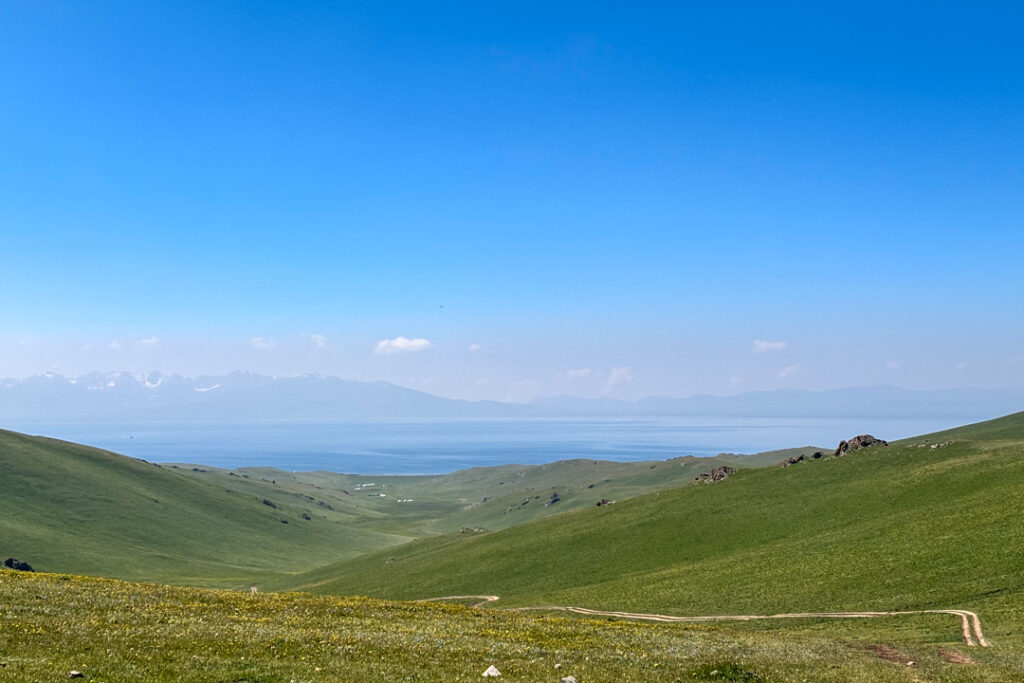 Ein See in weiter Ferne mit gelben Wildblumen