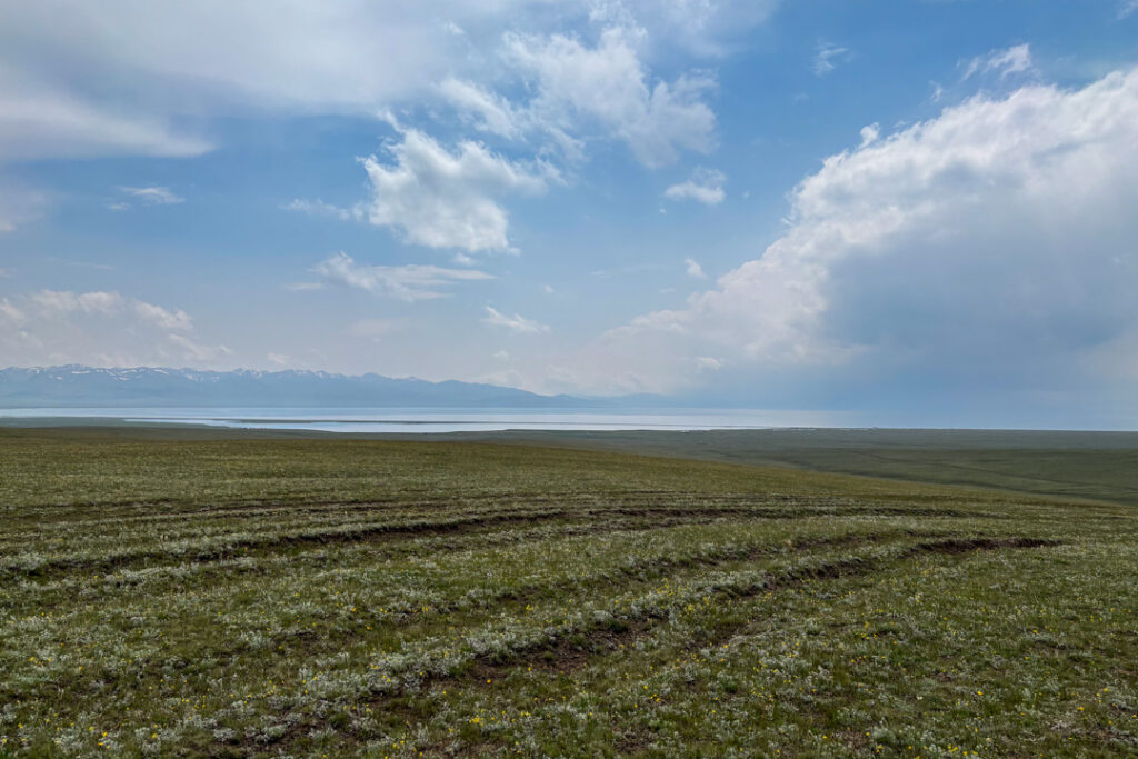 Eine weitläufige Wiese mit einem See